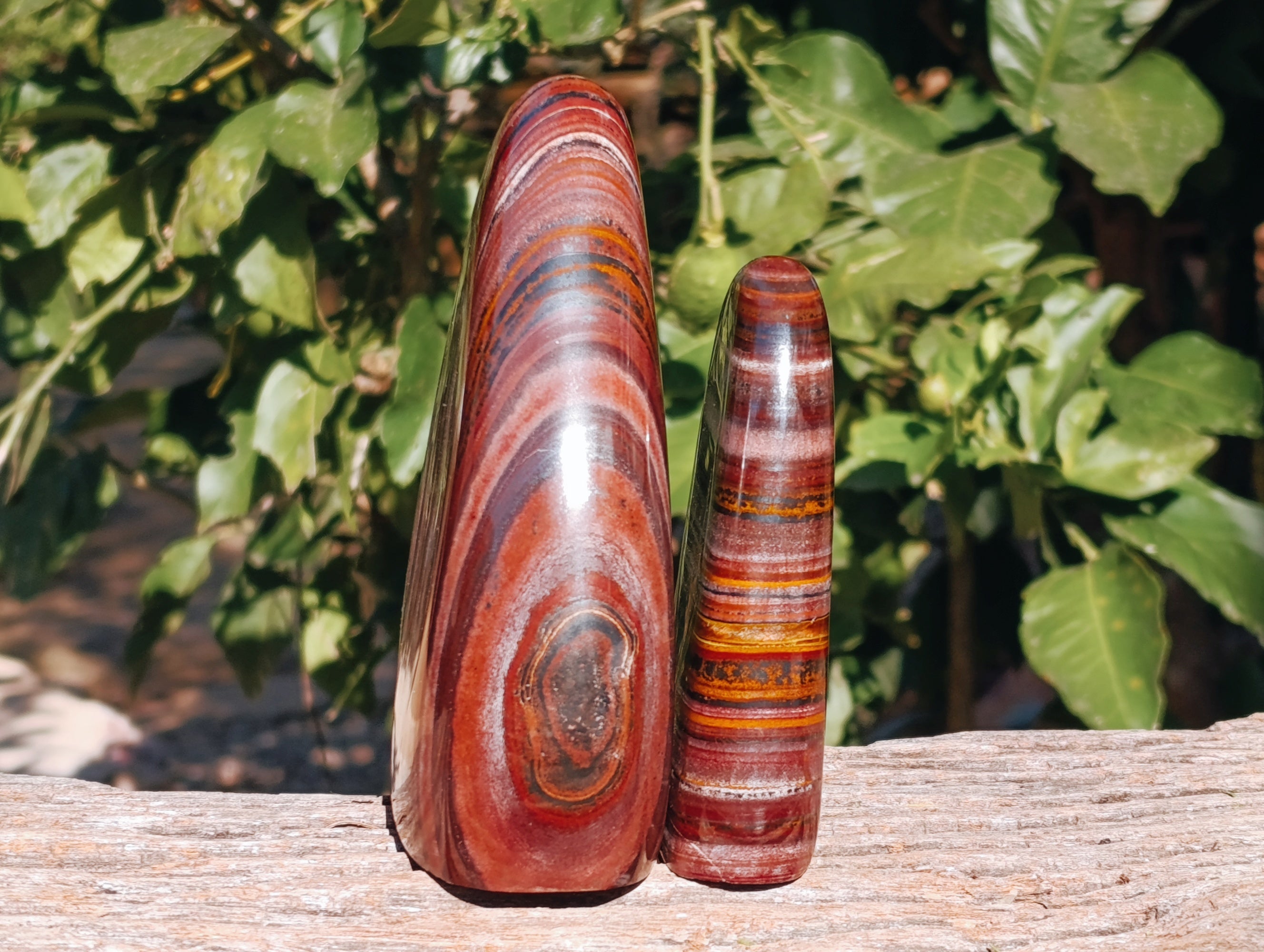 Polished Banded Tiger Iron Jasper Standing Free Forms x 2 From South Africa - Toprock Gemstones and Minerals 