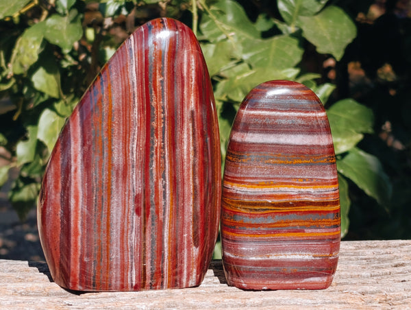 Polished Banded Tiger Iron Jasper Standing Free Forms x 2 From South Africa