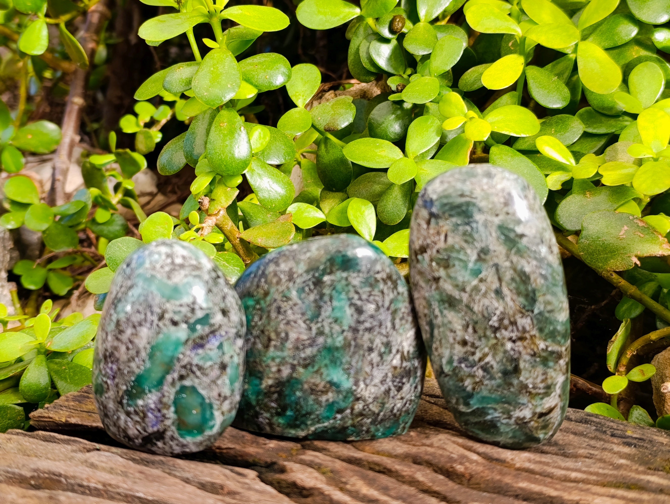 Polished Emerald Mica In Matrix Free Forms x 7 From Mutoko, Zimbabwe - Toprock Gemstones and Minerals 