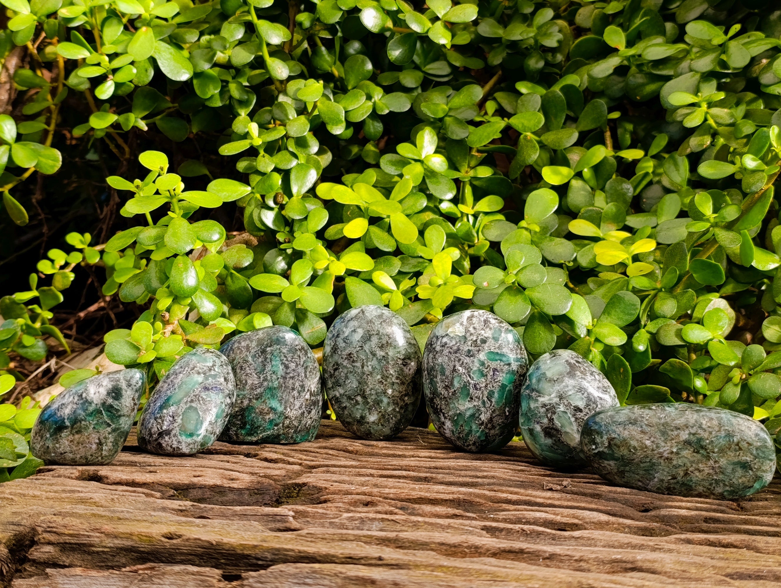 Polished Emerald Mica In Matrix Free Forms x 7 From Mutoko, Zimbabwe - Toprock Gemstones and Minerals 