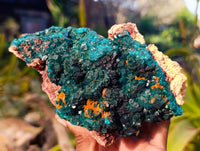 Natural Classic Dioptase On Dolomite Cabinet Specimen x 1 From Likasi, Congo - Toprock Gemstones and Minerals 