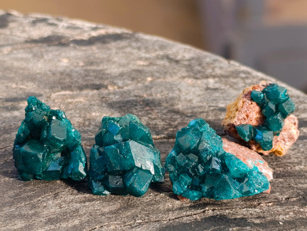 Natural Small Dioptase On Dolomite Specimens x 35 From Likasi, Congo - Toprock Gemstones and Minerals 