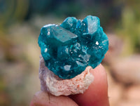 Natural Small Dioptase On Dolomite Specimens x 35 From Likasi, Congo - Toprock Gemstones and Minerals 
