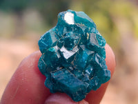 Natural Small Dioptase On Dolomite Specimens x 35 From Likasi, Congo - Toprock Gemstones and Minerals 