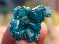 Natural Small Dioptase On Dolomite Specimens x 35 From Likasi, Congo - Toprock Gemstones and Minerals 