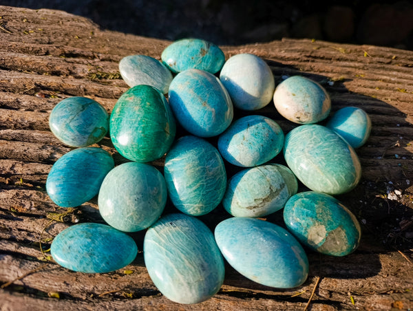 Polished Amazonite Palm Stones x 24 From Madagascar