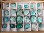 Polished Amazonite Palm Stones x 24 From Madagascar - Toprock Gemstones and Minerals 