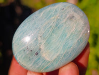 Polished Amazonite Palm Stones x 24 From Madagascar