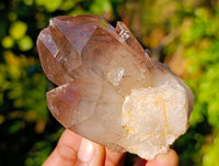 Natural Red Hematoid Quartz Clusters x 12 From Karoi, Zimbabwe