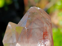 Natural Red Hematoid Quartz Clusters x 12 From Karoi, Zimbabwe