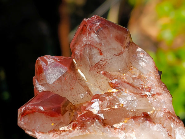 Natural Red Hematoid Quartz Clusters x 12 From Karoi, Zimbabwe