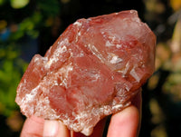 Natural Red Hematoid Quartz Clusters x 12 From Karoi, Zimbabwe