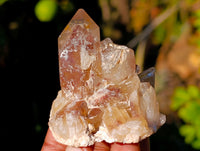 Natural Red Hematoid Quartz Clusters x 12 From Karoi, Zimbabwe