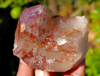 Natural Red Hematoid Quartz Clusters x 12 From Karoi, Zimbabwe