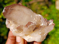 Natural Red Hematoid Quartz Clusters x 12 From Karoi, Zimbabwe