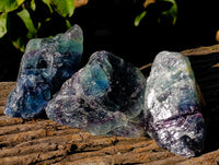 Natural Fluorescent Watermelon Fluorite Cobbed Specimens x 12 From Uis, Namibia - Toprock Gemstones and Minerals 