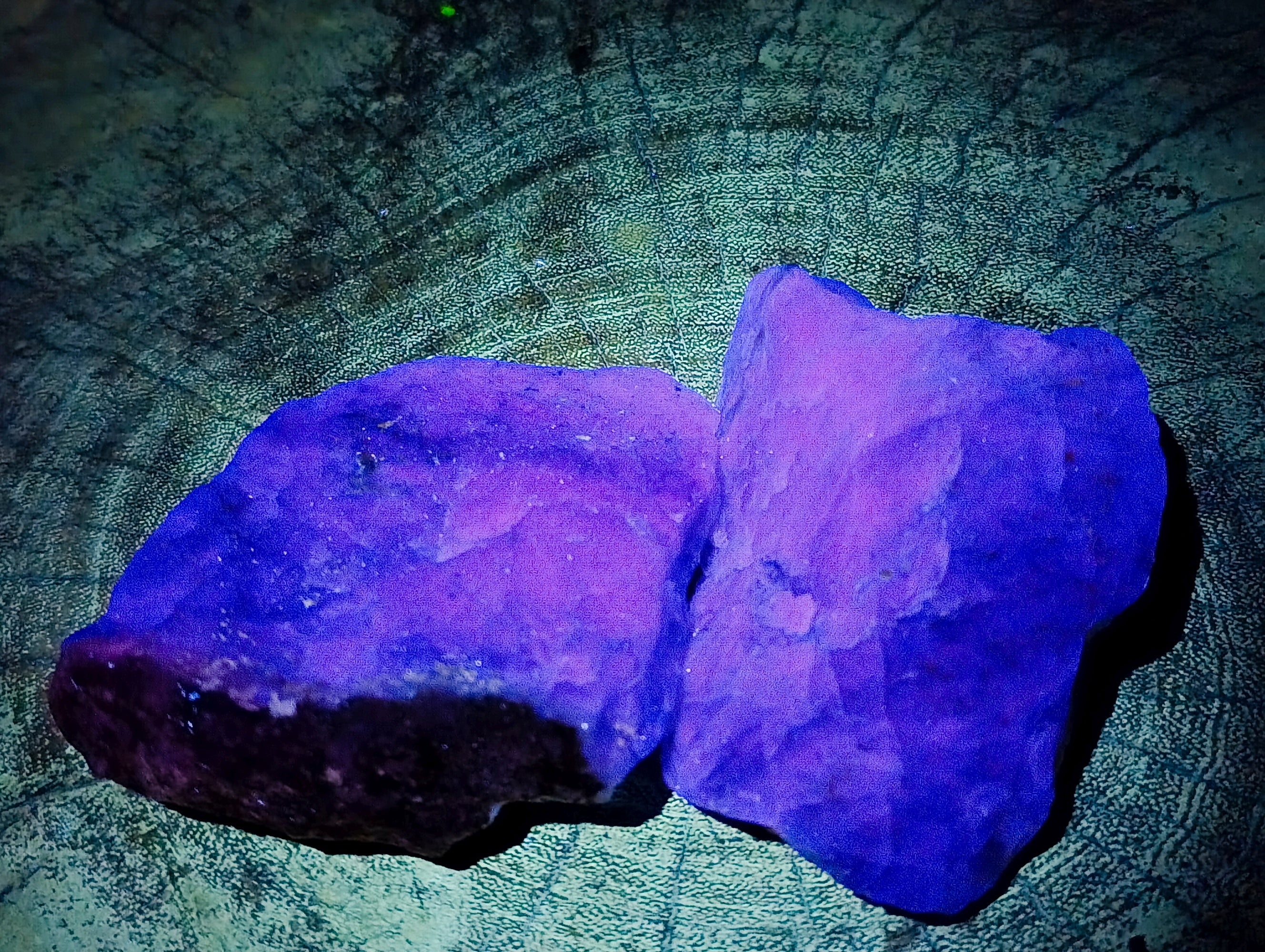 Natural Fluorescent Watermelon Fluorite Cobbed Specimens x 12 From Uis, Namibia - Toprock Gemstones and Minerals 