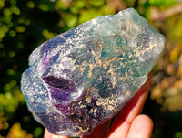 Natural Fluorescent Watermelon Fluorite Cobbed Specimens x 12 From Uis, Namibia - Toprock Gemstones and Minerals 