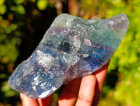 Natural Fluorescent Watermelon Fluorite Cobbed Specimens x 12 From Uis, Namibia - Toprock Gemstones and Minerals 