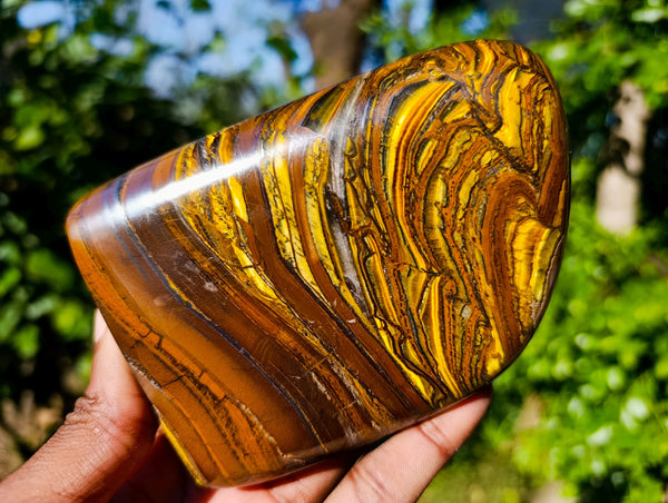 Polished Golden River Tigers Eye Standing Free Forms x 2 From Prieska, South Africa