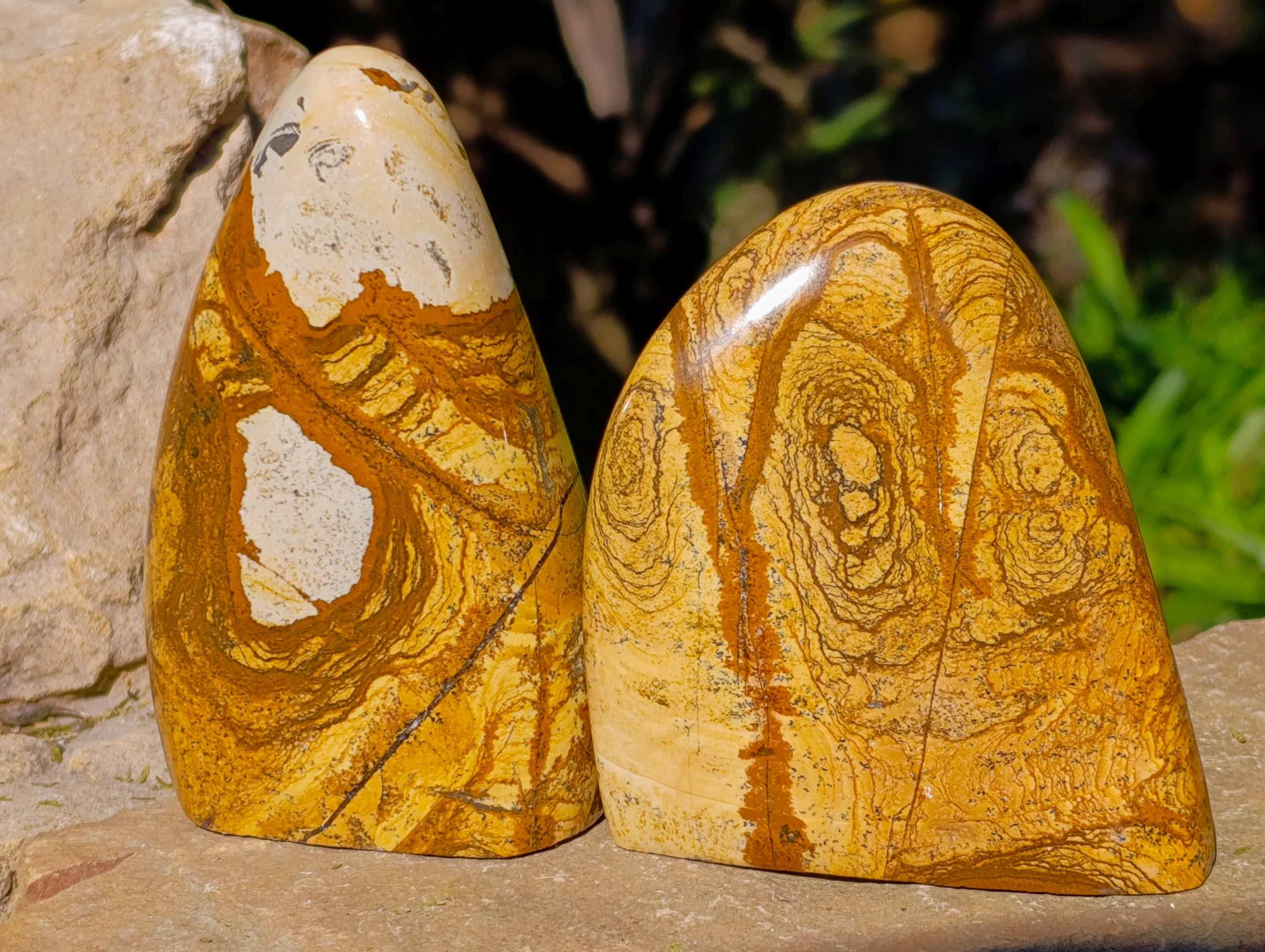 Polished Picture Stone Jasper Standing Free Forms x 3 From Ais-Ais, Namibia - Toprock Gemstones and Minerals 