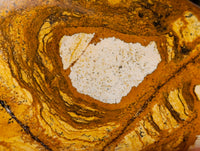 Polished Picture Stone Jasper Standing Free Forms x 3 From Ais-Ais, Namibia - Toprock Gemstones and Minerals 