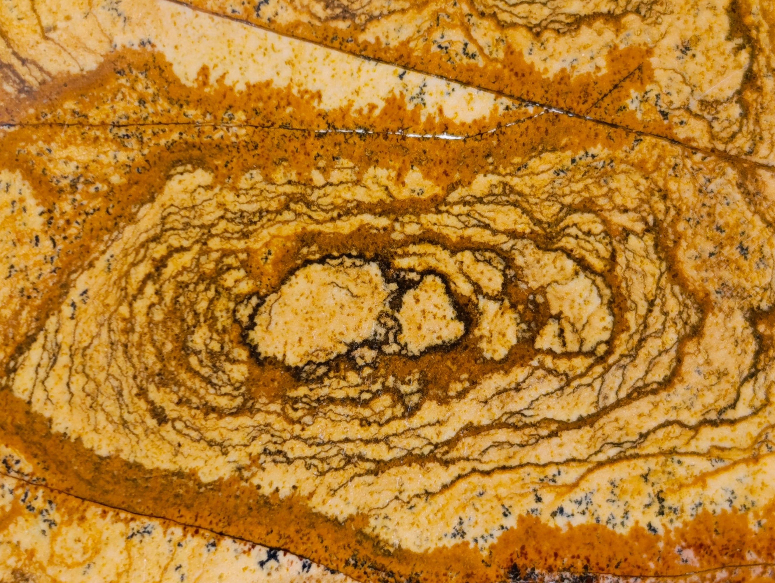 Polished Picture Stone Jasper Standing Free Forms x 3 From Ais-Ais, Namibia - Toprock Gemstones and Minerals 