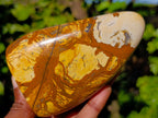 Polished Picture Stone Jasper Standing Free Forms x 3 From Ais-Ais, Namibia - Toprock Gemstones and Minerals 