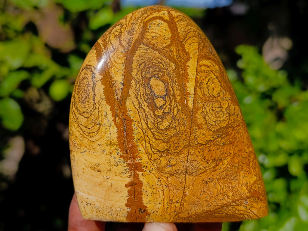 Polished Picture Stone Jasper Standing Free Forms x 3 From Ais-Ais, Namibia - Toprock Gemstones and Minerals 