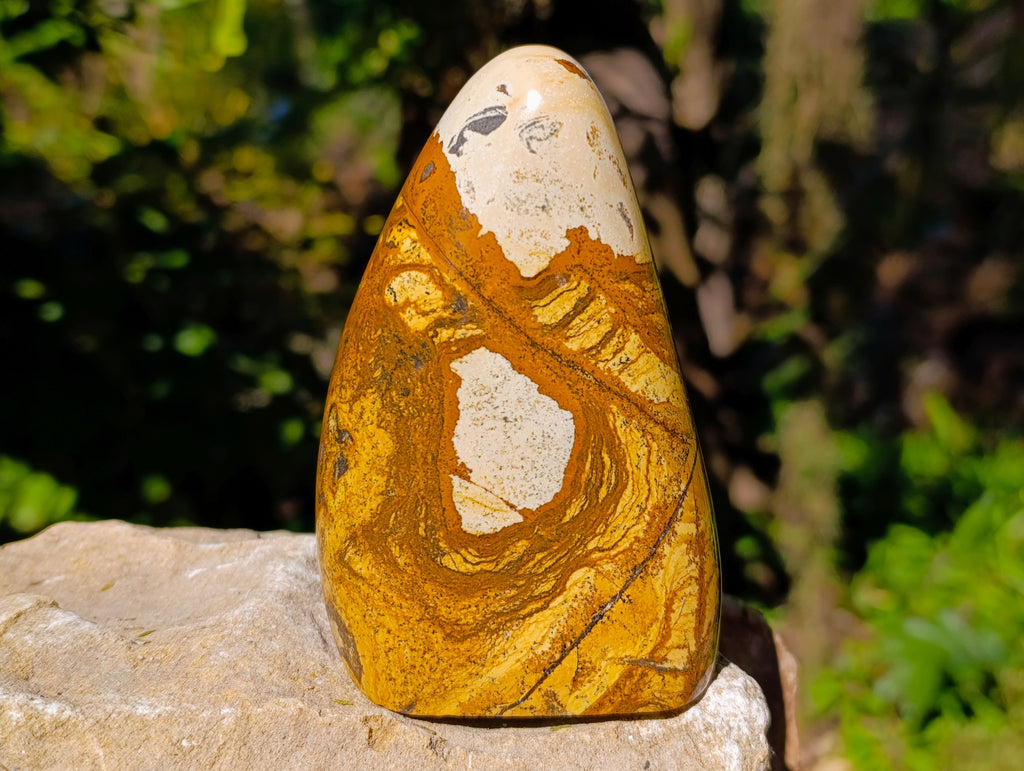 Polished Picture Stone Jasper Standing Free Forms x 3 From Ais-Ais, Namibia - Toprock Gemstones and Minerals 