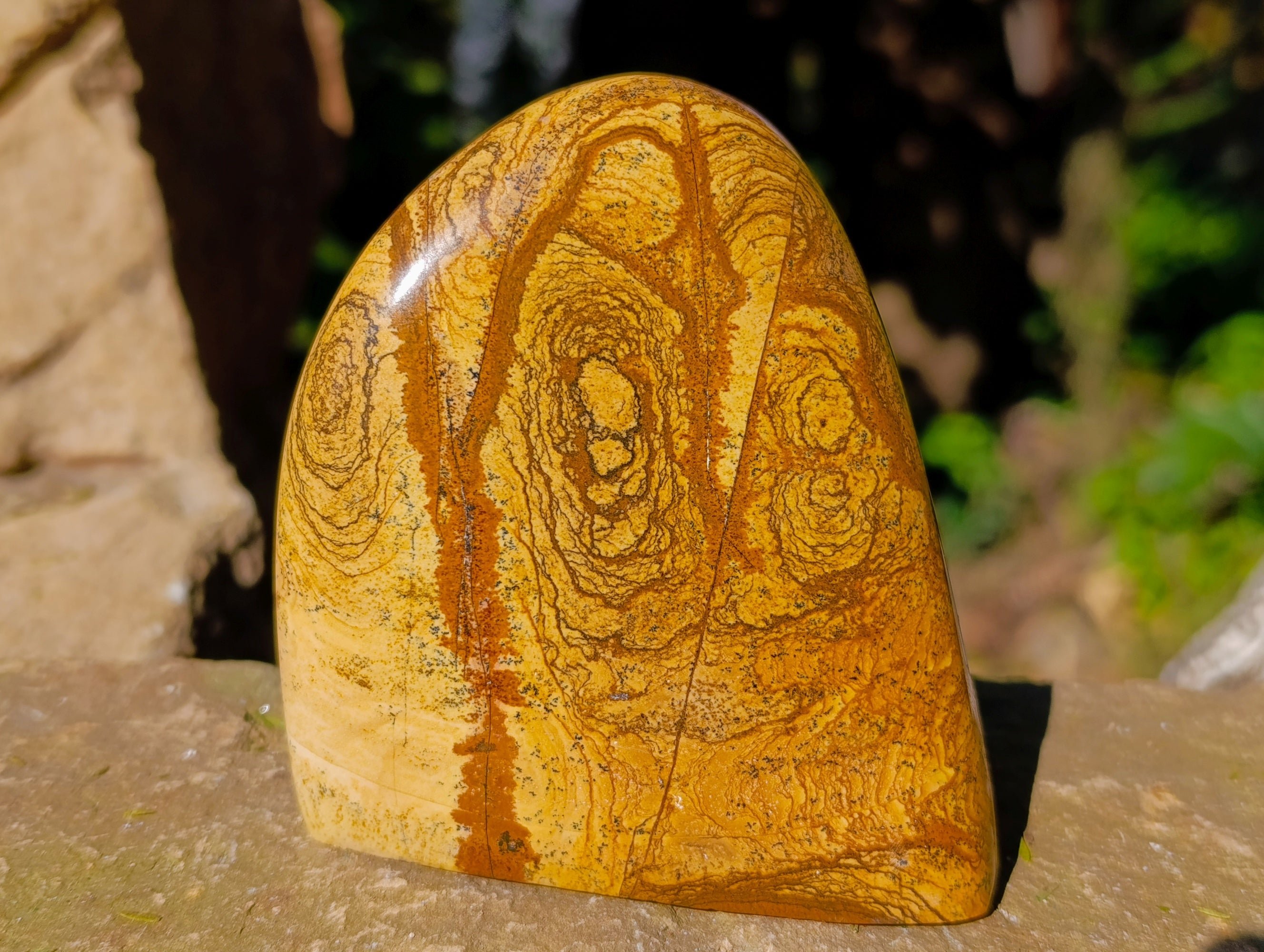 Polished Picture Stone Jasper Standing Free Forms x 3 From Ais-Ais, Namibia - Toprock Gemstones and Minerals 