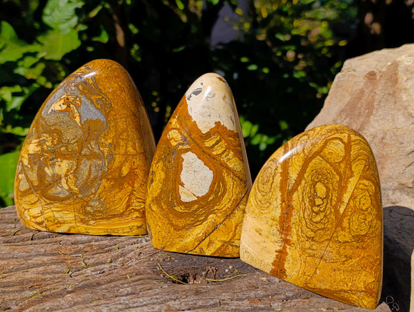 Polished Picture Stone Jasper Standing Free Forms x 3 From Ais-Ais, Namibia