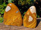 Polished Picture Stone Jasper Standing Free Forms x 3 From Ais-Ais, Namibia - Toprock Gemstones and Minerals 