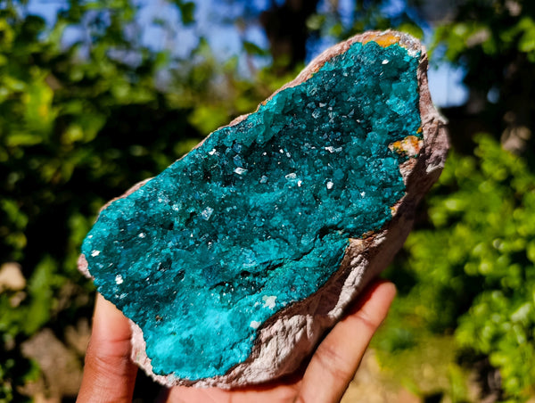Natural Classic Dioptase On Dolomite Cabinet Specimen x 1 From Likasi, Congo