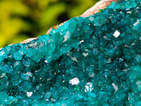 Natural Classic Dioptase On Dolomite Cabinet Specimen x 1 From Likasi, Congo