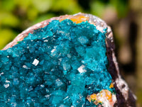 Natural Classic Dioptase On Dolomite Cabinet Specimen x 1 From Likasi, Congo