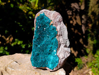 Natural Classic Dioptase On Dolomite Cabinet Specimen x 1 From Likasi, Congo