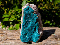 Natural Classic Dioptase On Dolomite Cabinet Specimen x 1 From Likasi, Congo