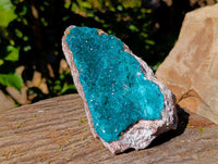 Natural Classic Dioptase On Dolomite Cabinet Specimen x 1 From Likasi, Congo