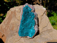 Natural Classic Dioptase On Dolomite Cabinet Specimen x 1 From Likasi, Congo