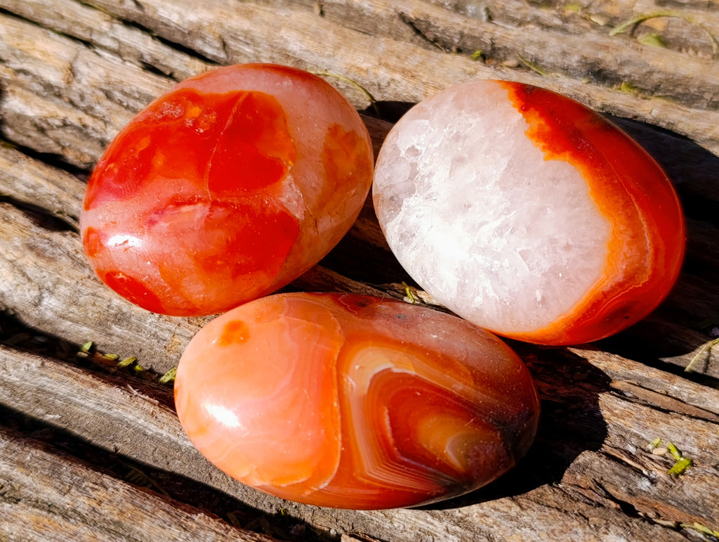 Polished Mix Of Selected Palm Stones x 20 From Madagascar - Toprock Gemstones and Minerals 