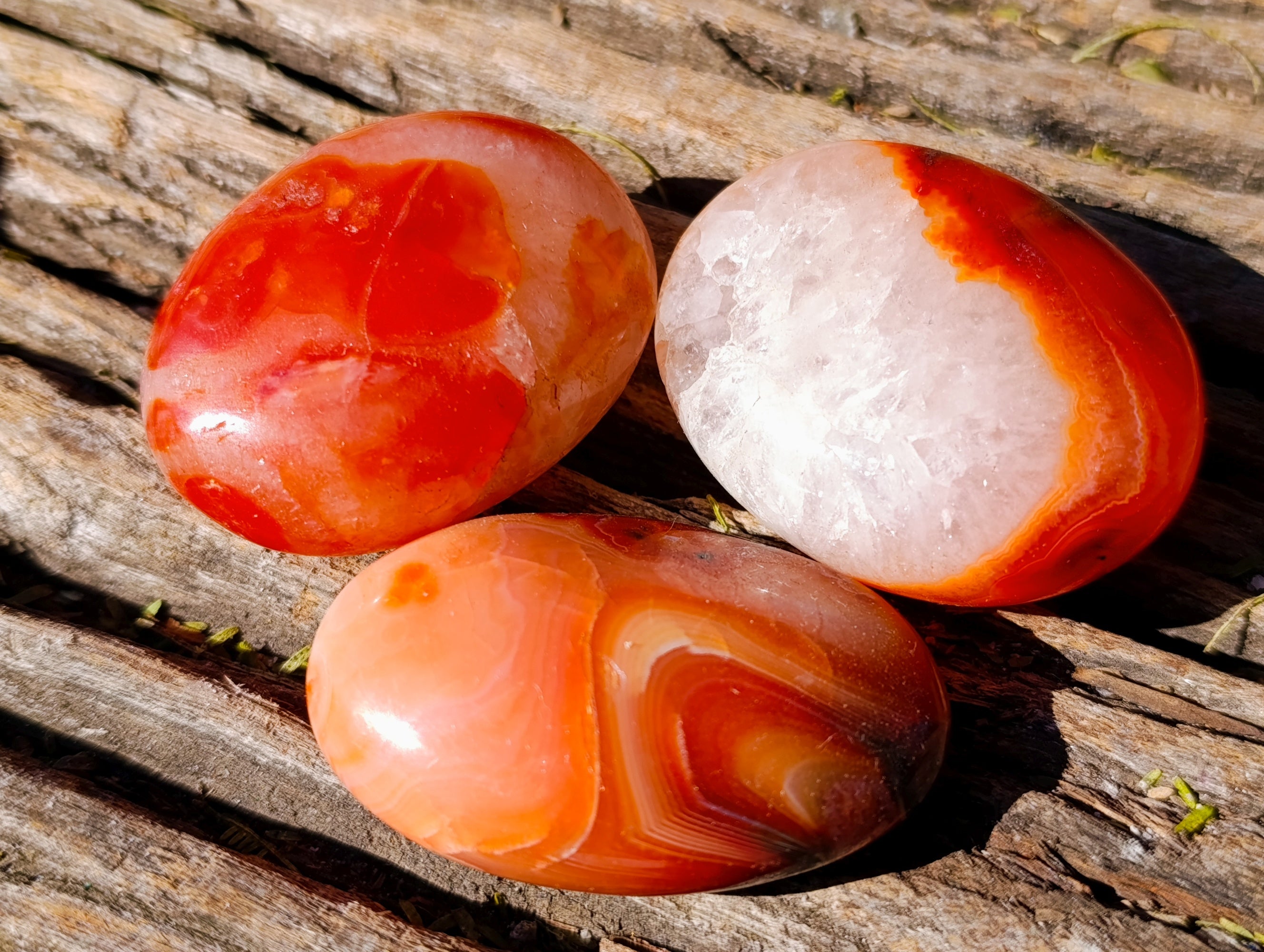 Polished Mix Of Selected Palm Stones x 20 From Madagascar - Toprock Gemstones and Minerals 