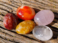 Polished Mix Of Selected Palm Stones x 20 From Madagascar - Toprock Gemstones and Minerals 