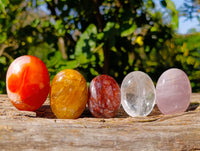 Polished Mix Of Selected Palm Stones x 20 From Madagascar - Toprock Gemstones and Minerals 