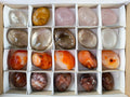Polished Mix Of Selected Palm Stones x 20 From Madagascar - Toprock Gemstones and Minerals 