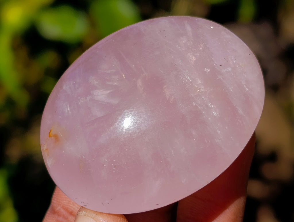 Polished Mix Of Selected Palm Stones x 20 From Madagascar - Toprock Gemstones and Minerals 