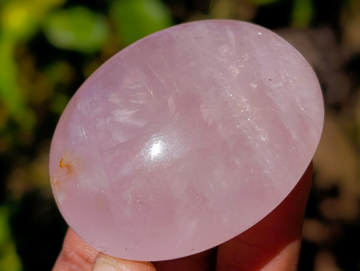 Polished Mix Of Selected Palm Stones x 20 From Madagascar - Toprock Gemstones and Minerals 