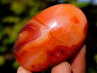Polished Mix Of Selected Palm Stones x 20 From Madagascar - Toprock Gemstones and Minerals 