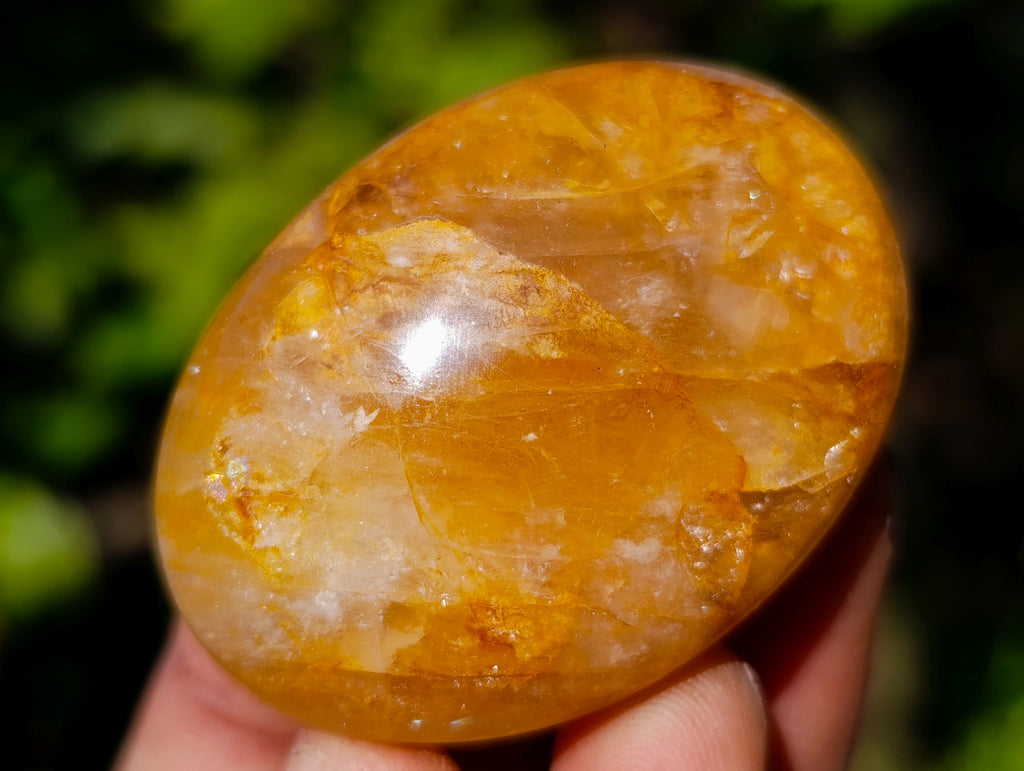 Polished Mix Of Selected Palm Stones x 20 From Madagascar - Toprock Gemstones and Minerals 