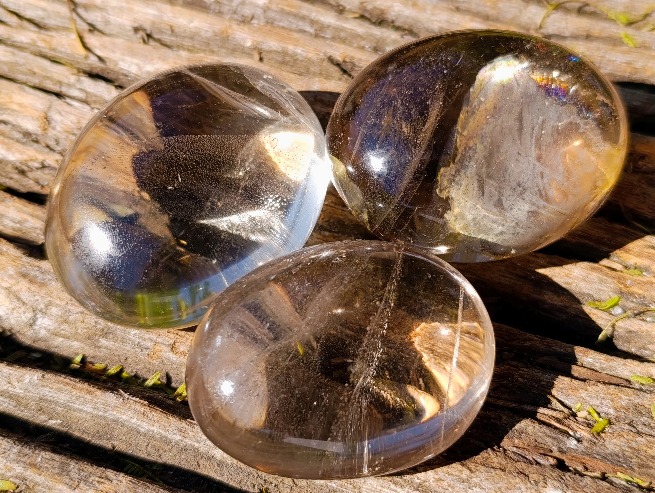 Polished Mix Of Selected Palm Stones x 20 From Madagascar - Toprock Gemstones and Minerals 